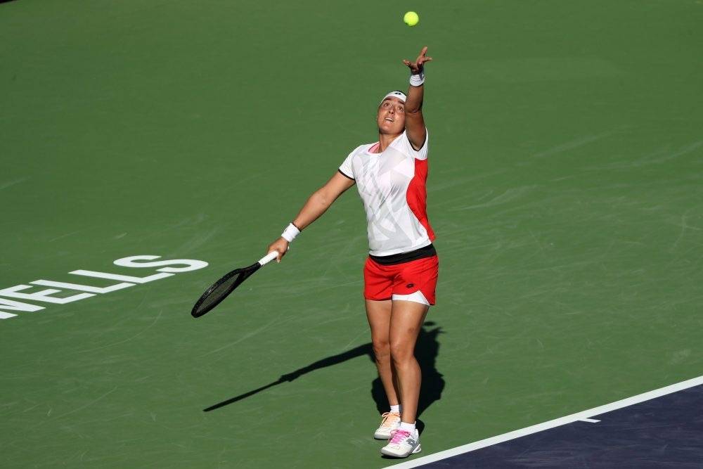 集完成度 集完成度